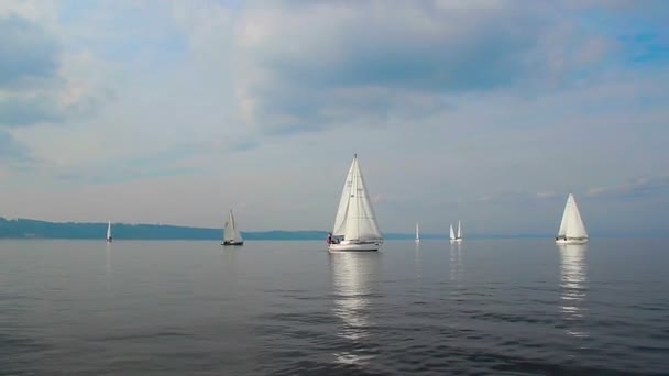 Yachts à voile de luxe — Video