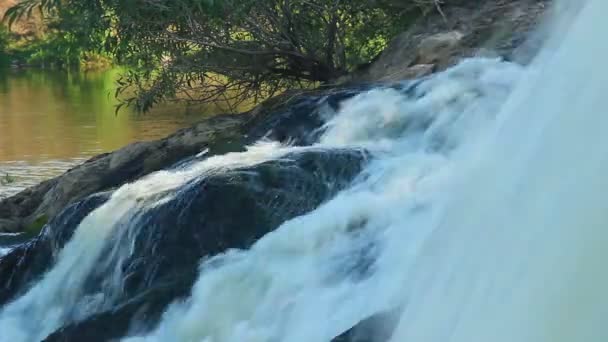 Водный поток впадает в реку — стоковое видео