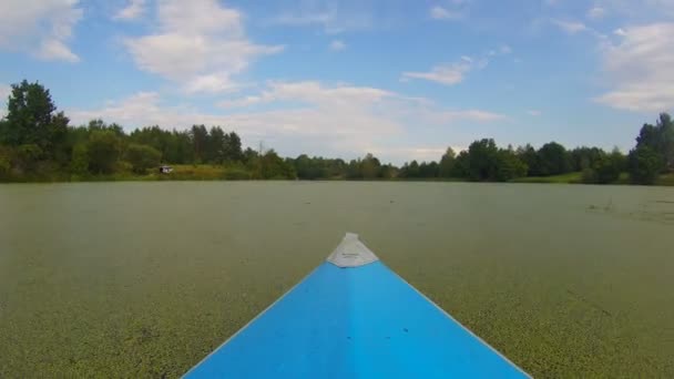 Člun pohybující se po zelené znečištěné vody — Stock video