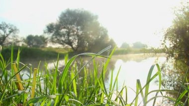 rode paraplu 3d gesmolten