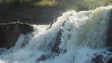 Ormanda vahşi şelale