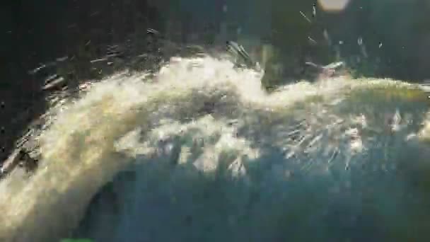 Турбулентный водопад в лесу — стоковое видео