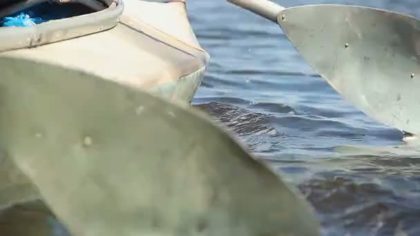 Paddles entering water — Stock Video