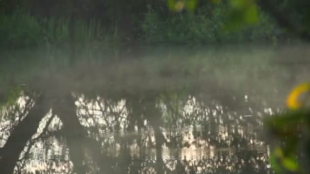 Над рекой витает туман — стоковое видео