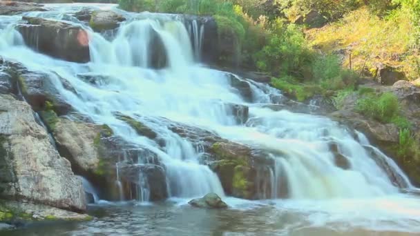 Cascade vattenfall i skogen — Stockvideo