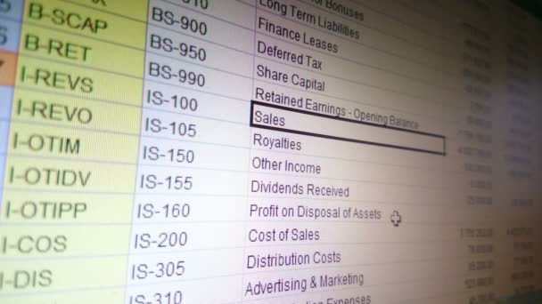Облік обробки даних в електронній таблиці Excel, фінансовий звіт — стокове відео