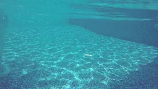 Sunlight reflecting on bottom of swimming pool, underwater shot — Stock Video