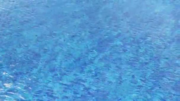 Água azul clara papel de parede animado, piscina superfície ventosa — Vídeo de Stock