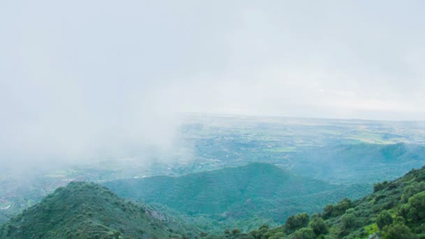 Похмура погода в горах. Прекрасний вид на зелені пагорби, вкриті туманом — стокове відео