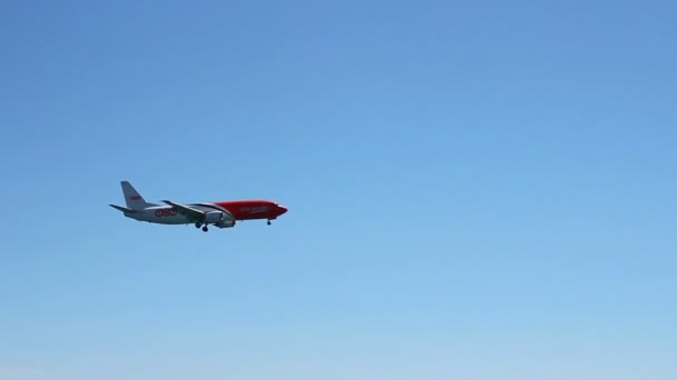 Międzynarodowy przewóz ładunków dostawy firma samoloty latające w niebo, lądowania na lotnisku — Wideo stockowe