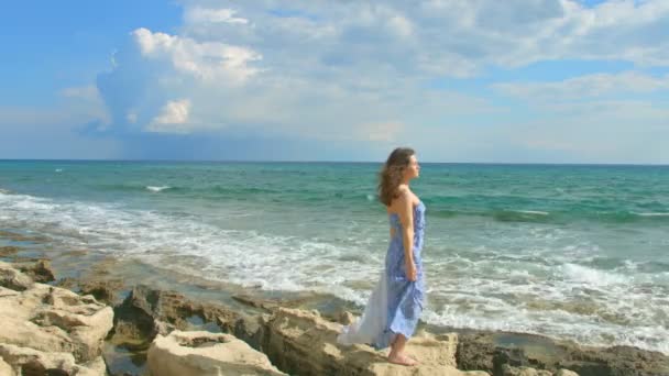 Bonita morena disfrutando de una hermosa vista sobre la orilla del mar, cielo nublado sobre el agua — Vídeo de stock