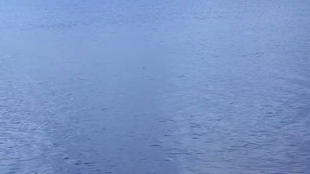Rippling calm water surface, seaside meditation, feel nostalgia, loopable shot — Stock Video
