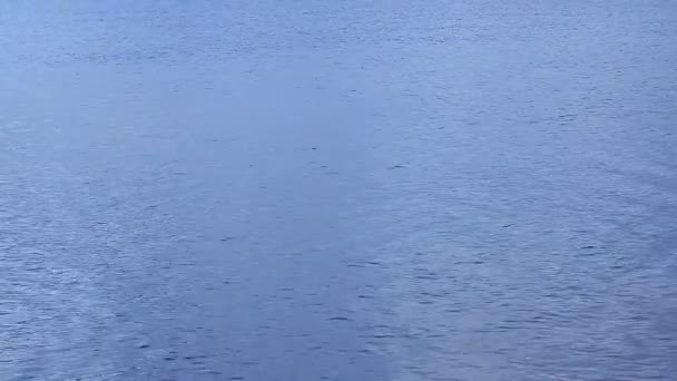 Plätschernde ruhige Wasseroberfläche, Meditation am Meer, Nostalgie fühlen, Schlupfwinkel — Stockvideo