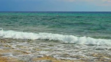 Deniz kıyısı sıçramasına fırtınalı dalgalar deniz işaretlemek su, köpekbalığı saldırı tehlike