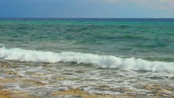 Olas tormentosas salpicando en la orilla del mar, marcas de mar en el agua, peligro de ataque de tiburones — Vídeo de stock
