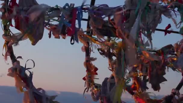 Traditional wish tree, tourist attraction, dreams come true, hopes for future — Stock Video