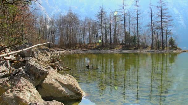 Schöne Natur, ruhiges Wasser, Landschaft zum Meditieren, Entspannen — Stockvideo