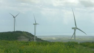 Alternatif enerji kaynakları, yeşil enerji üretimi, Rüzgar Çiftliği fırtınalı alanındaki