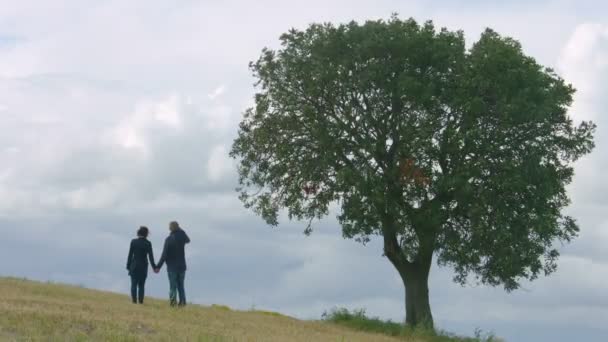 Pareja casada cogida de la mano, mirando al horizonte, soñando con un futuro feliz — Vídeos de Stock