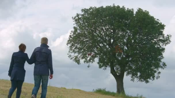 Gelukkige jonge mensen in liefde lopen, leven samen voor altijd, romantisch verhaal — Stockvideo