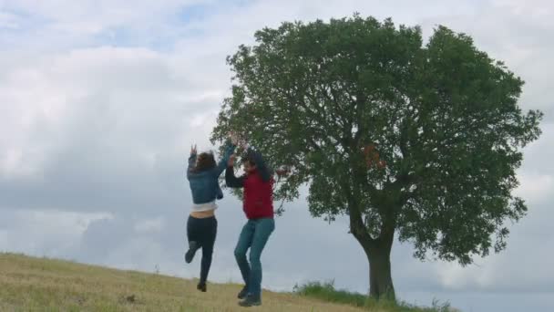 Emocionados jóvenes saltando, bailando, amigos disfrutan de la recreación en el parque, la libertad — Vídeos de Stock