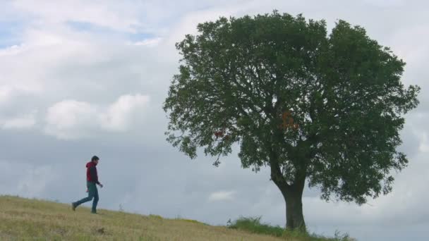 Hombre orinando en el parque, joven orinando en el árbol, influencia humana en la ecología — Vídeos de Stock