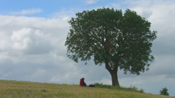 Silueta de tipo sentado bajo el árbol, turista con mochila pesada continúa viaje — Vídeos de Stock