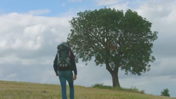 Αρσενικό τουριστικά πεζοπορία με σακίδιο στην πλάτη, άνθρωπος περπάτημα παρελθόν δέντρο, στην πλάτη — Αρχείο Βίντεο