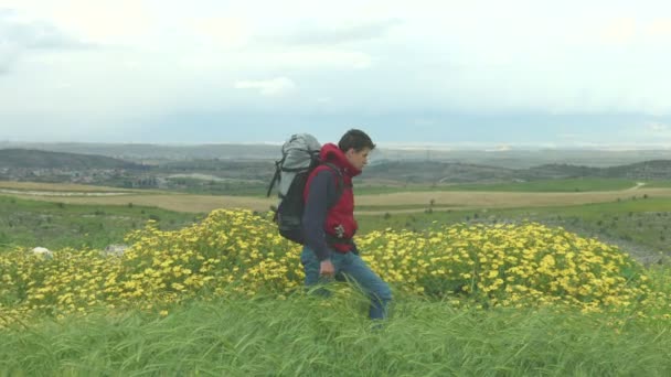 Joven mochilero, disfrutando de un hermoso panorama del verde paisaje de montaña — Vídeo de stock