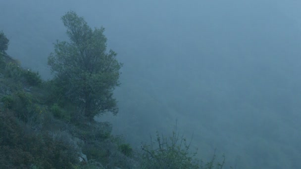 Το υπόβαθρο για τη μυστηριώδη ιστορία, φρίκη ταινία ατμόσφαιρα, επικίνδυνο ομίχλη γκρεμό — Αρχείο Βίντεο