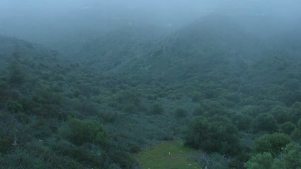 Nebel bedeckt Berge Zeitraffer, seltsamer Ort, geheimnisvolle Atmosphäre, Thriller — Stockvideo
