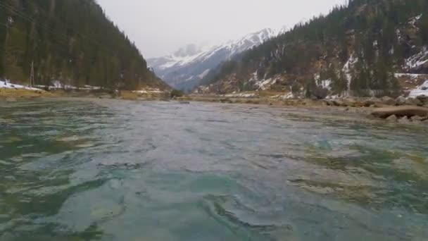 Szybkość dobiegów na górskiej rzece wchodzących w jezioro zimne wody słodkiej, pięknej przyrody — Wideo stockowe