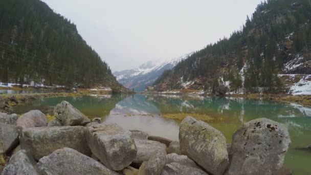 Belle nature sauvage, grosses pierres dans l'eau, épaisse forêt de pins sur les montagnes — Video