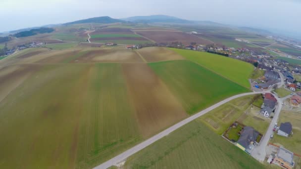Voando sobre campos cultivados, pastagens verdes, terras agrícolas. Indústria agrícola — Vídeo de Stock