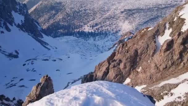 雪に覆われた山脈、美しい渓谷の木の壮大な水平方向のパン — ストック動画