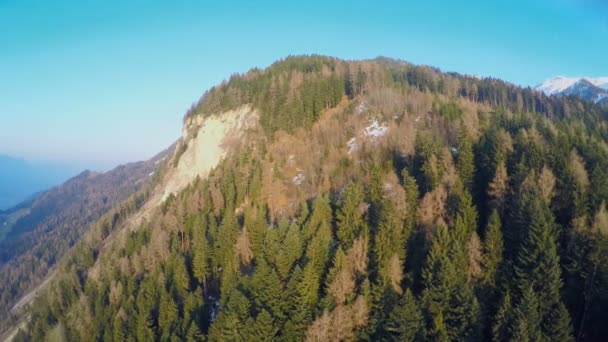 Colpo aereo di alta montagna rocciosa coperta di fitta foresta selvaggia, aria pulita — Video Stock