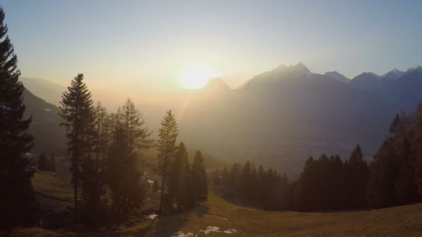 Evergreen pine trees in golden sunlight, grand mountain silhouettes, magic hour — Stock Video