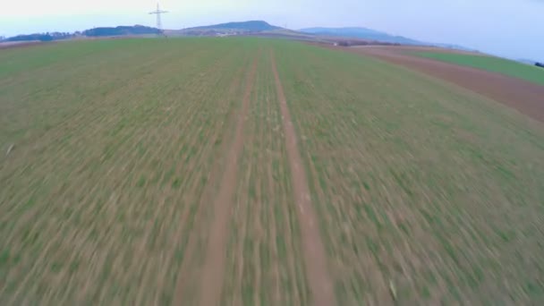 Terreno agricolo verde, vista aerea di campi coltivati a lungo. Agricoltura, agricoltura — Video Stock