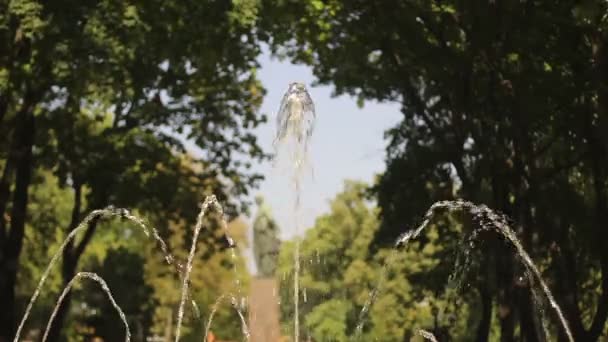 Фонтанна вода розбризкує бризки — стокове відео