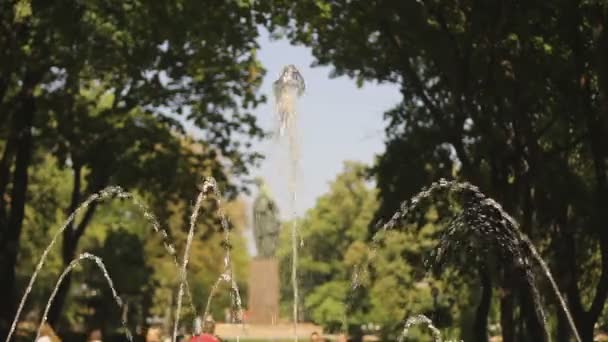 混雑した公園での夏の日 — ストック動画