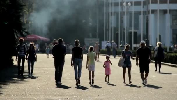 Menschen gehen im Park spazieren — Stockvideo