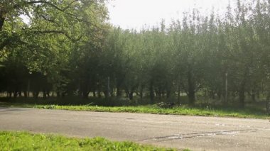 Kadın parkta bisiklet sürme