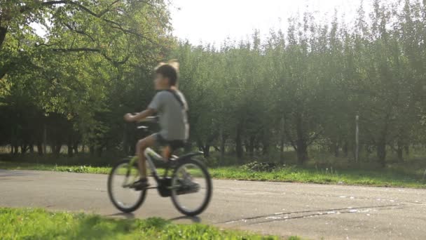 Niños y padres montando bicicletas — Vídeos de Stock