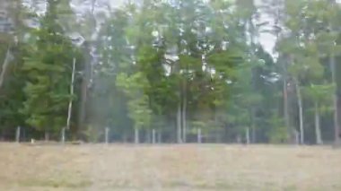 pencereden yol kenarı manzara