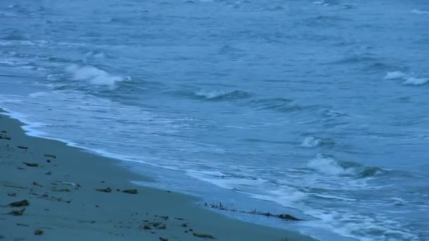 Loopable tiro de olas lavando la playa de arena. Superficie de agua agitada. Sentirse solo — Vídeos de Stock