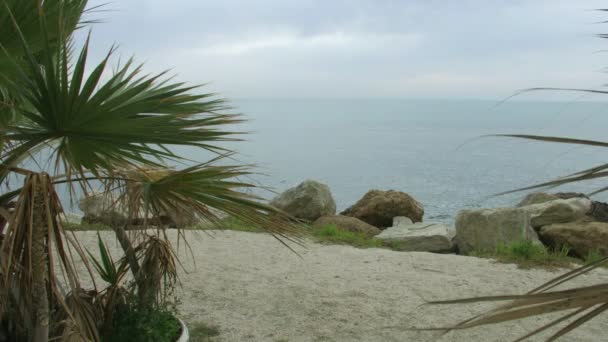 Recreation on beautiful sandy beach with stones and palms. Meditation at seaside — Stock Video