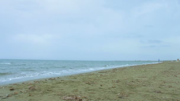 Junge Frau läuft am Meer und lebt einen aktiven Lebensstil für einen gesunden, fitten Körper — Stockvideo