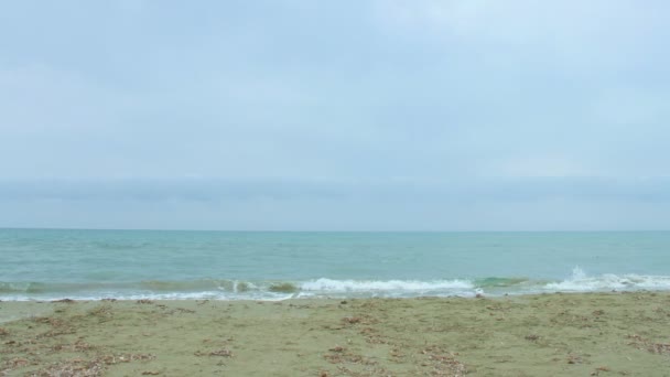 Hermoso paisaje marino con olas saladas salpicando en la playa de arena y horizonte lejano — Vídeos de Stock