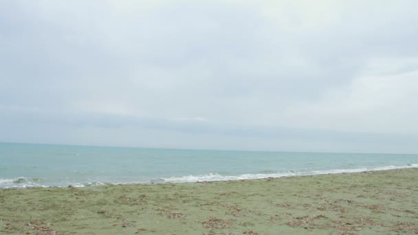 Self-confident independent woman on morning run at seaside. Healthy lifestyle — Stock Video