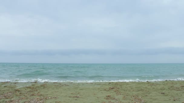 Jovencita en ropa deportiva corriendo por la playa, cuidando el cuerpo y la salud — Vídeos de Stock